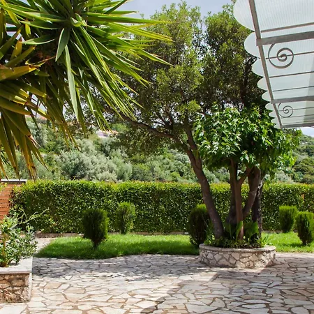 Melodia By Vintage Travel